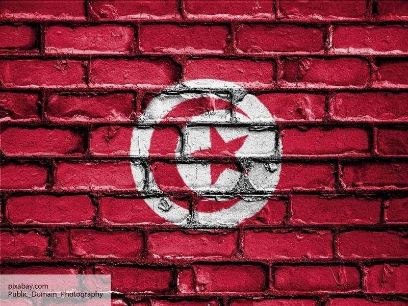 Эксперт назвал мелкой подачкой матпомощь Тунису от США