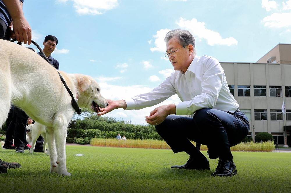 Южнокорейский президент раздает щенков Ким Чен Ына