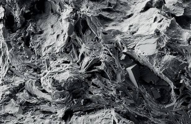 В Приморье археологи обнаружили ранее неизвестную керамику «черной серии»