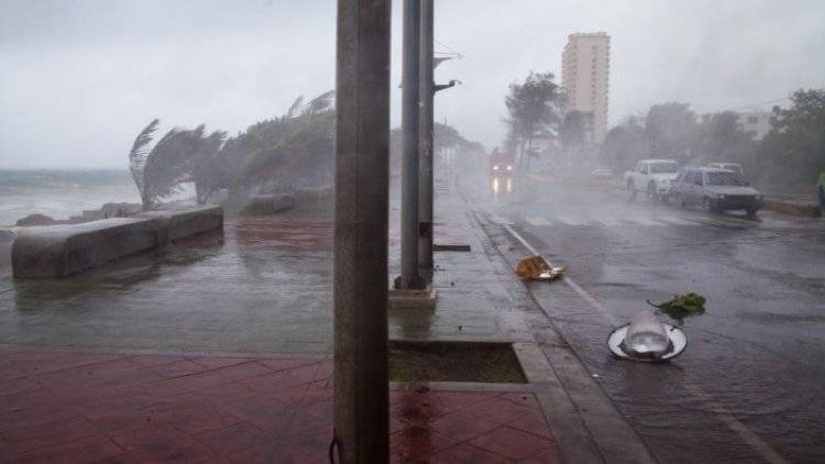 Трамп одобрил введение ЧС во Флориде из-за урагана «Дориан»