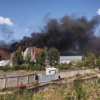 В Ленинградской области локализован крупный пожар