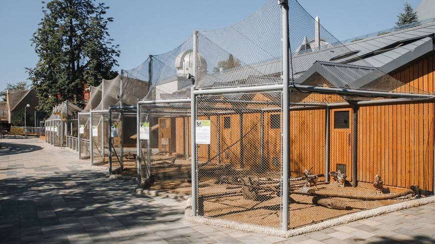 В Москве открылся обновленный Детский зоопарк