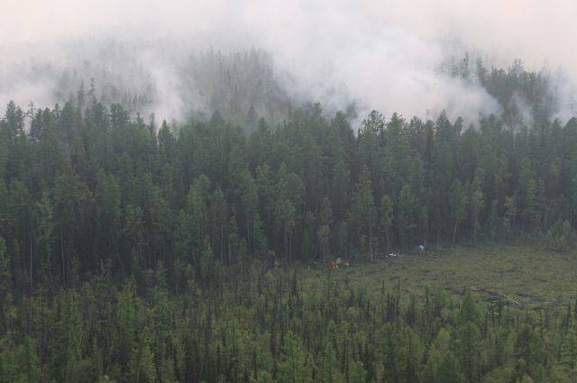 За три дня авиация Минобороны потушила в Сибири 116 лесных пожаров