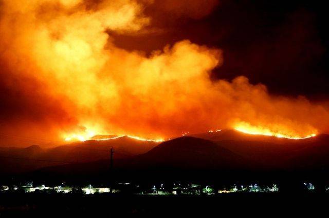 Счетная Палата РФ назвала сумму ущерба от лесных пожаров в первом полугодии