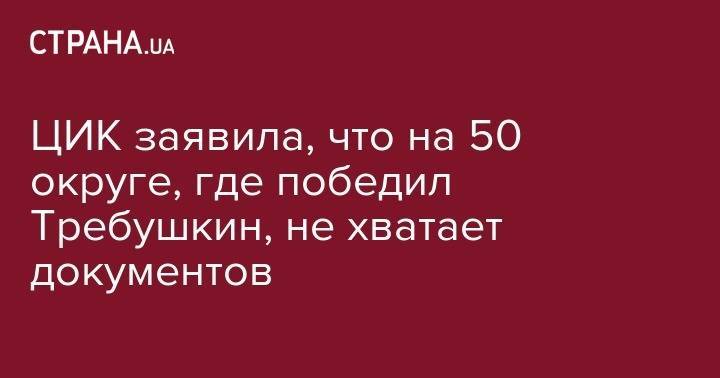ЦИК заявила, что на 50 округе, где победил Требушкин, не хватает документов