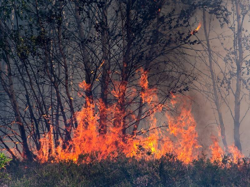 Искусственные дожди вызовут в Иркутской области для борьбы с пожарами