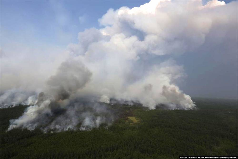 Счётная палата РФ: ущерб от лесных пожаров составил 2,4 миллиарда рублей