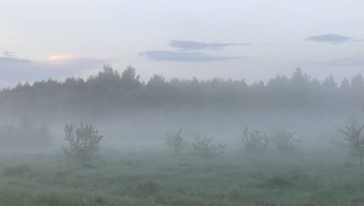 Брянской области 4 августа пообещали дождь и туман