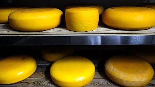 США оценили качество российского сыра