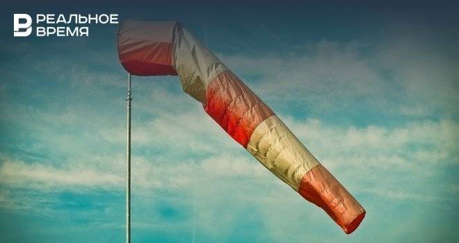 МЧС Башкирии предупредило о сильном ветре