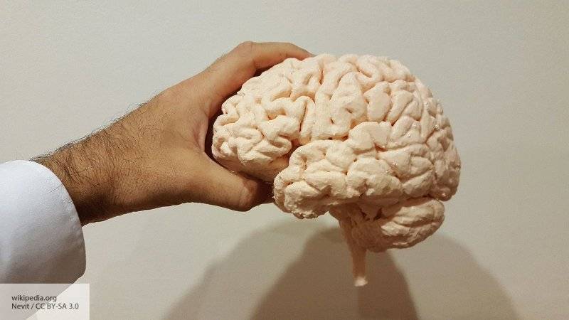 Мировые ученые рассказали, как развить умственные способности