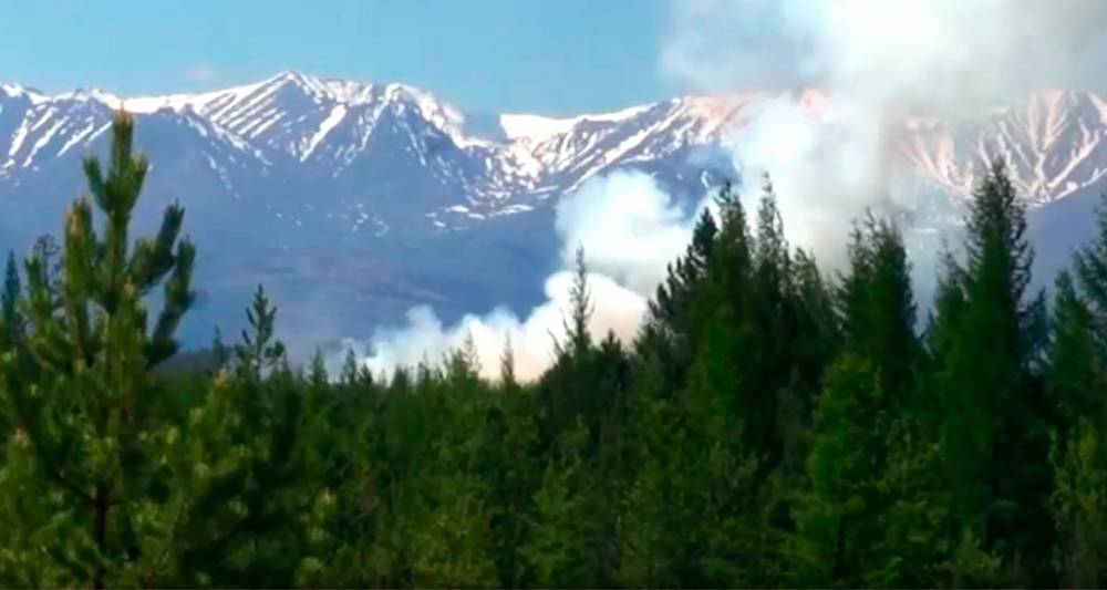 Авиация Минобороны потушила более 750 тысяч га горящих лесов
