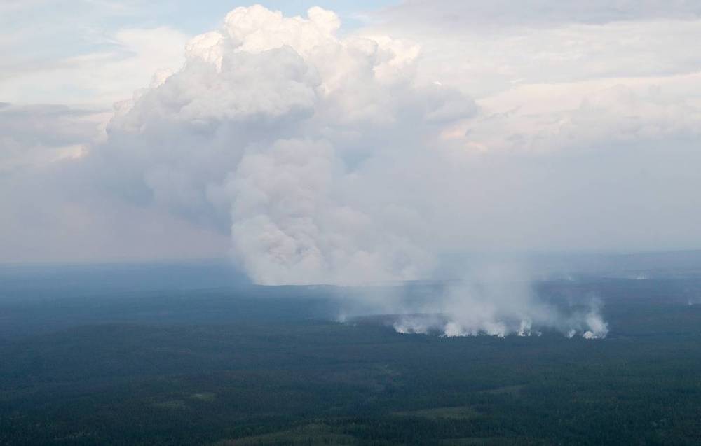 Авиация Минобороны потушила почти 700 тыс. га пожаров в Сибири