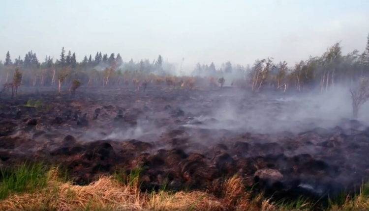 Дым лесных пожаров окутал сотни поселков Сибири и Дальнего Востока