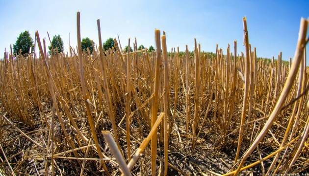 Европейские урожаи после жары: пострадали, но не критично