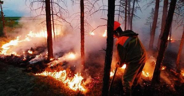 Экс-депутат Рады назвала пожары в&nbsp;Сибири местью «московским дикарям» | PolitNews