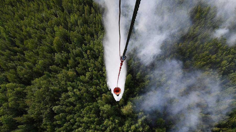 Лесные пожары в Сибири продолжатся до осенних дождей