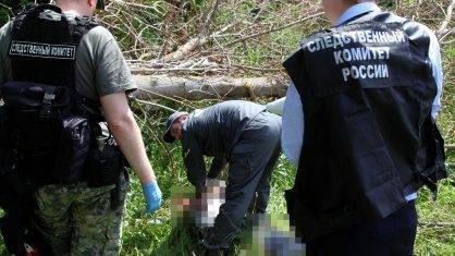 В Рязани взяли под стражу подозреваемого в убийстве в Солотче – РИА «7 новостей»