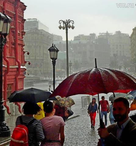 Дождливый прохладный день начнет очередную рабочую неделю в Москве