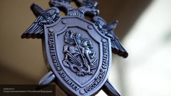 Захаров оценил работу СК РФ по задержанию призывавшего к расправе над детьми полицейских