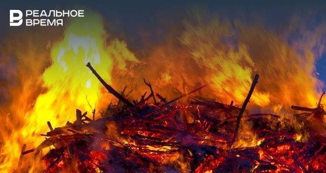 В РАН заявили, что лесные пожары в Сибири потухнут сами за две недели
