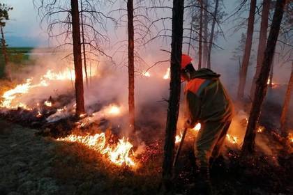Григорий Куксин - Спасение сибирских лесов возложили на осенние дожди - lenta.ru - Иркутская обл.