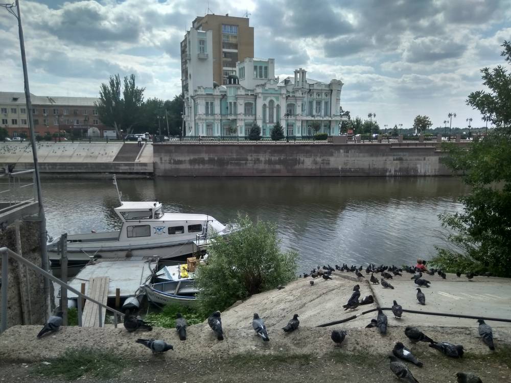 В центре Астрахани сняли на видео множество мертвых голубей