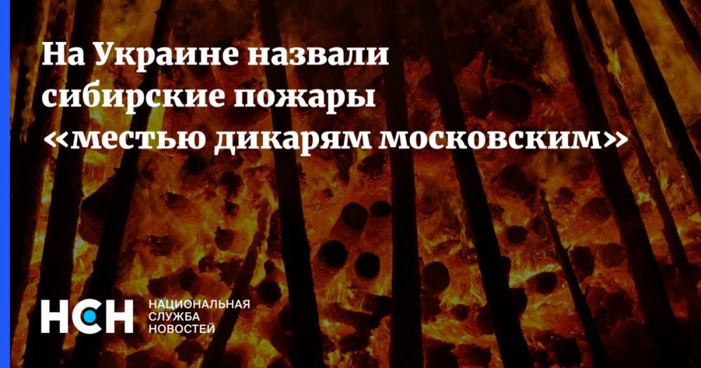На Украине назвали сибирские пожары «местью дикарям московским»