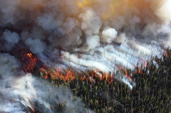 МЧС: площадь лесных пожаров в Сибири сократилась до 2,4 млн га