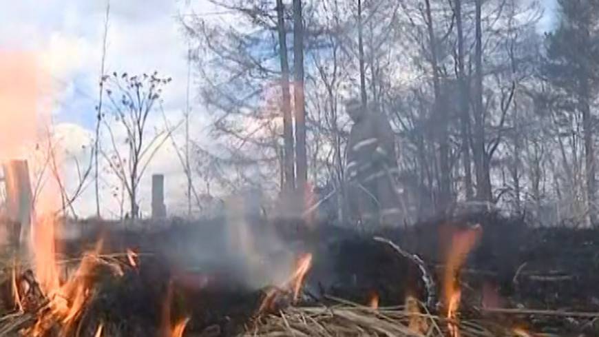 Площадь лесных пожаров в Якутии сократилась на 300 тыс. гектаров