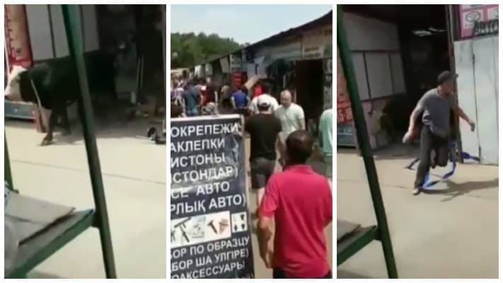 Бык устроил погром на рынке в Алматинской области