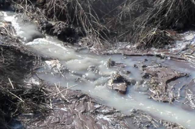 Экологи Татарстана проводят анализ воды из «молочной реки»