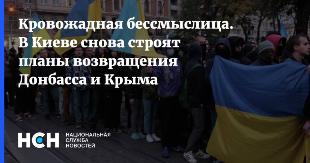 Кровожадная бессмыслица. В Киеве снова строят планы возвращения Донбасса и Крыма