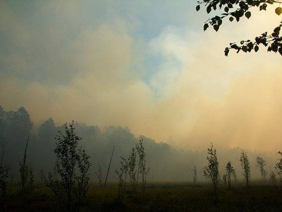 При тушении леса в Красноярском крае пропал один пожарный