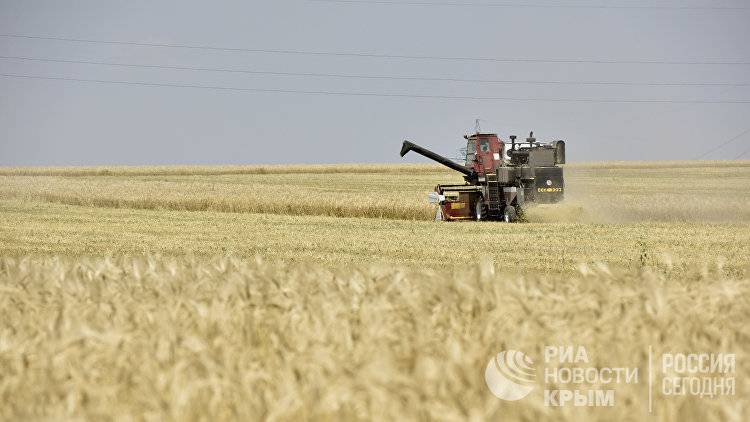 Крымские аграрии намолотили почти 1,7  млн тонн зерновых