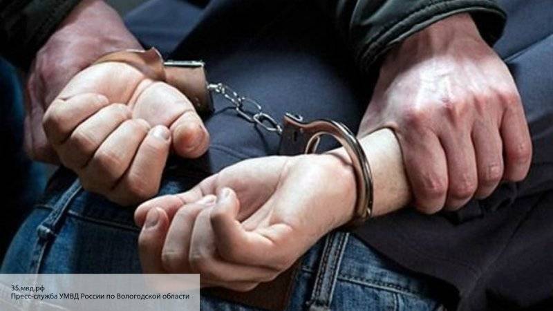 Полиция задержала мужчину, который ударил омоновца на стадионе в Петербурге