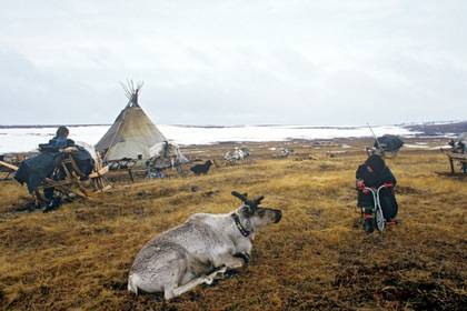Власти Ямала выделят 5 миллионов рублей на полигон для арктических исследований