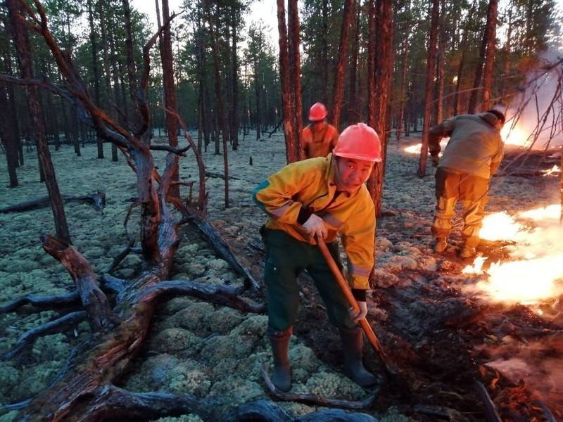Госпожнадзор возбудил 277 уголовных дел из-за лесных пожаров