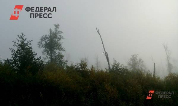 Площадь лесных пожаров в Сибири уменьшилась на 166 тысяч гектаров | Красноярский край | ФедералПресс