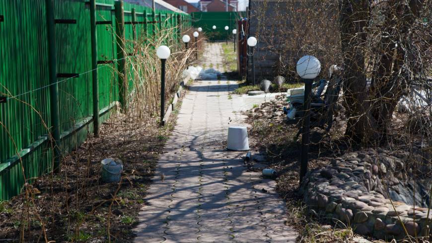 Отдых или огород: россияне пересмотрели свое отношение к даче
