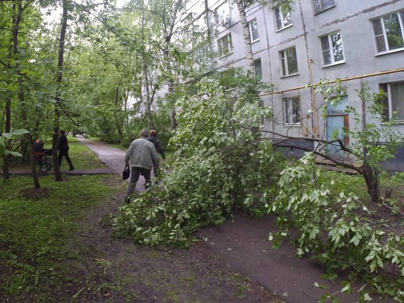«Жёлтый» уровень объявлен в Москве из-за ветра на 6 августа