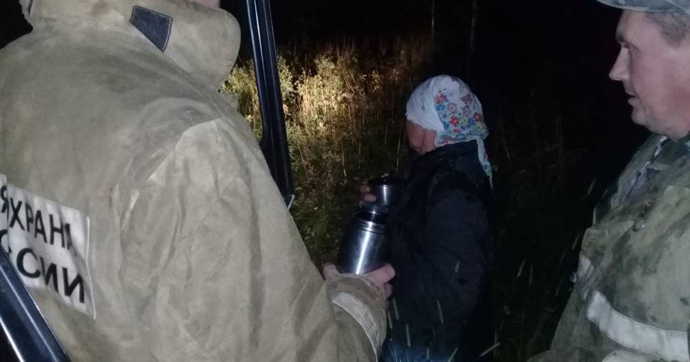 Спасатели вывели из леса в Смоленской области заблудившуюся старушку