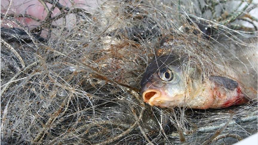 В Кировской области поймали двух браконьеров, ловивших рыбу сетями