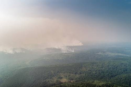 «Ситуация катастрофическая» Greenpeace: площадь лесных пожаров в Сибири превысила 4 млн