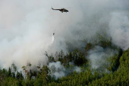 Пожары в лесах Сибири сочли рукотворными