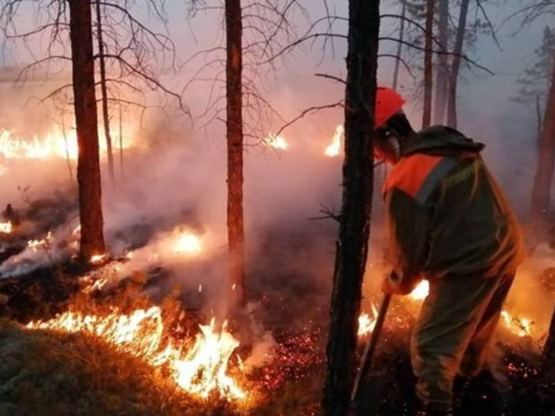 Неосторожное обращение с огнём назвали причиной пожаров в Сибири