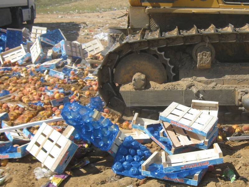Россельхознадзор уничтожил 32 тысячи тонн санкционных продуктов