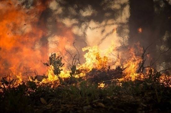 В МЧС назвали основную причину лесных пожаров в Сибири