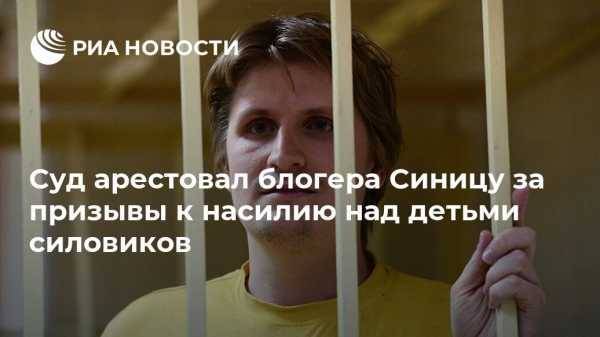 Суд арестовал блогера Синицу за призывы к насилию над детьми силовиков