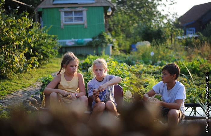 За 14 лет удвоилось число россиян, которые считают дачу местом для отдыха